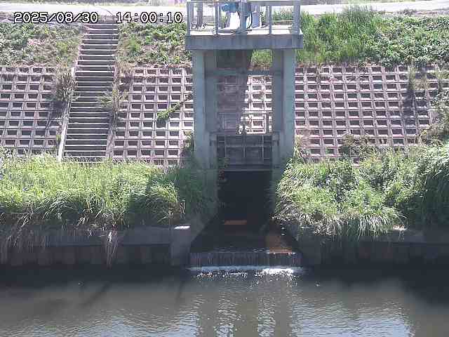 大路川２2025/08/31 09:00
