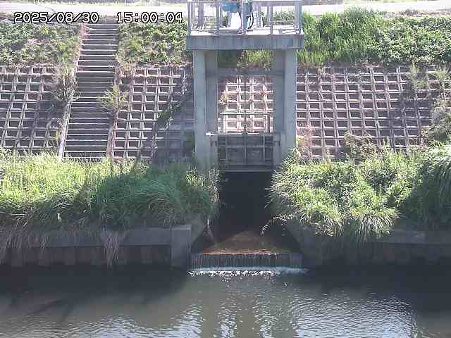 大路川２2025/08/31 09:00