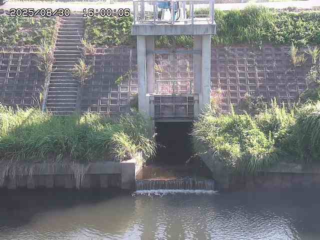大路川２2025/08/31 09:00