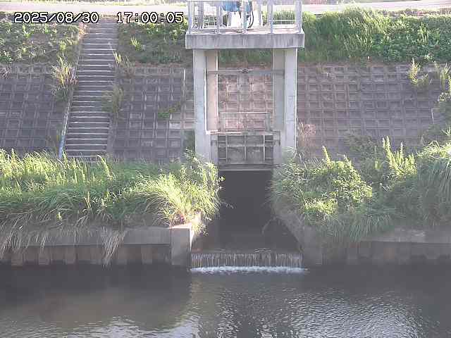 大路川２2025/08/31 09:00