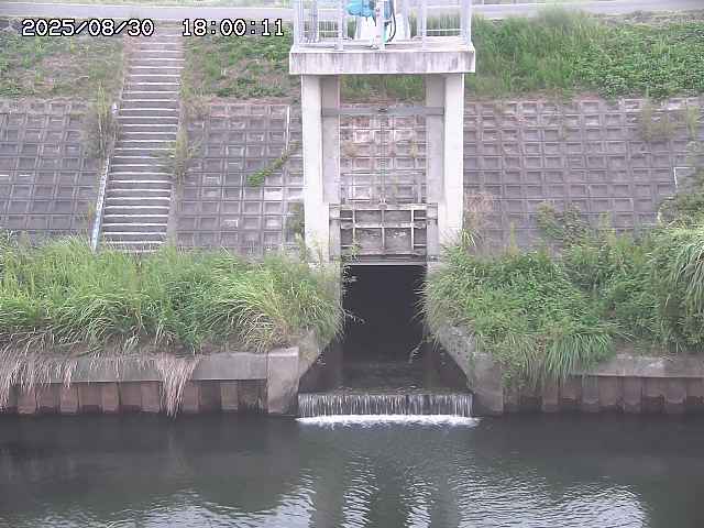 大路川２2025/08/31 09:00