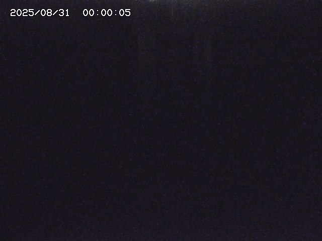 大路川２2025/08/31 09:00