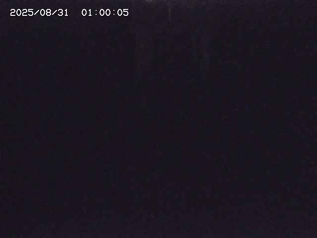 大路川２2025/08/31 09:00