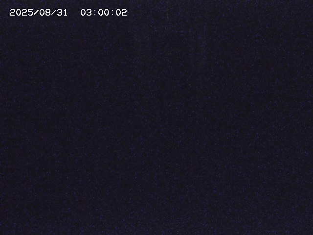 大路川２2025/08/31 09:00