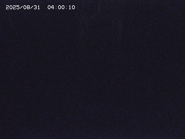 大路川２2025/08/31 09:00