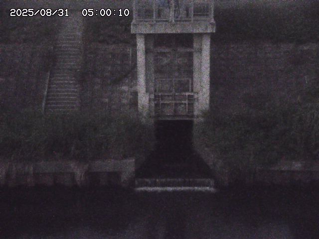 大路川２2025/08/31 09:00
