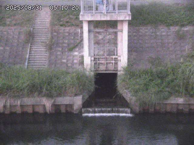 大路川２2025/08/31 09:00