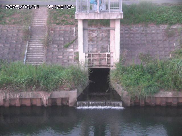 大路川２2025/08/31 09:00