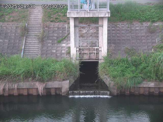 大路川２2025/08/31 09:00