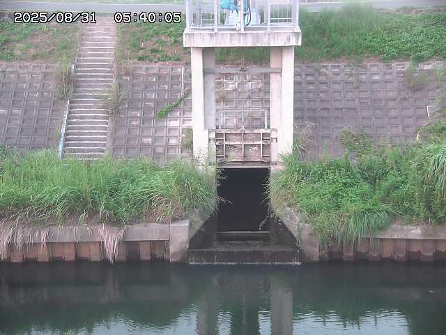 大路川２2025/08/31 09:00