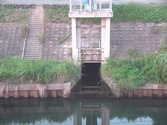 大路川２2025/08/31 09:00