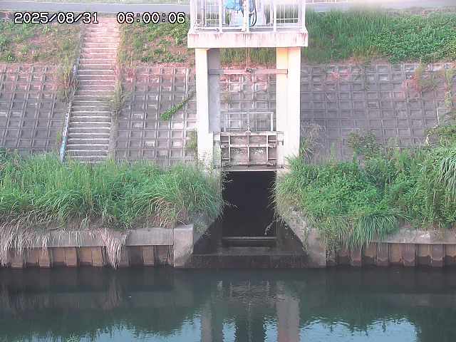 大路川２2025/08/31 09:00