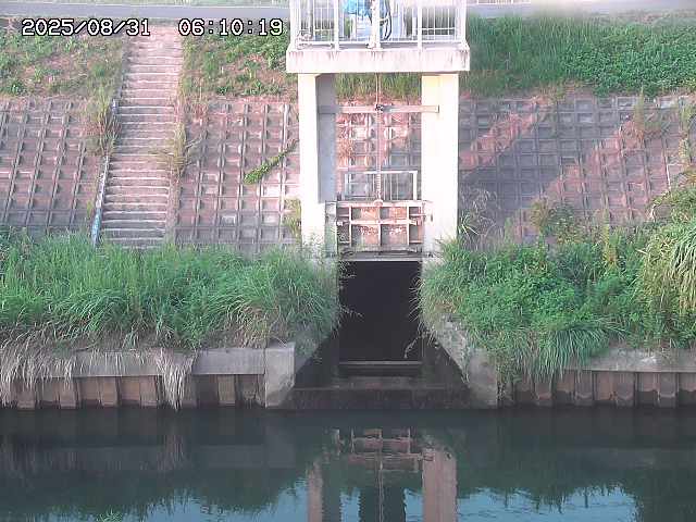 大路川２2025/08/31 09:00
