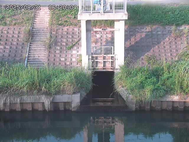 大路川２2025/08/31 09:00