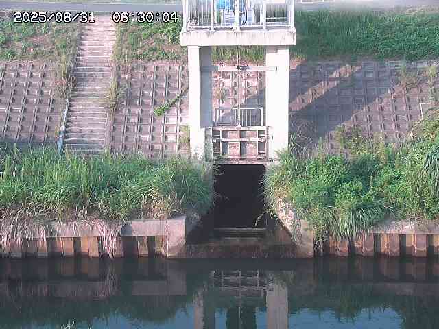 大路川２2025/08/31 09:00