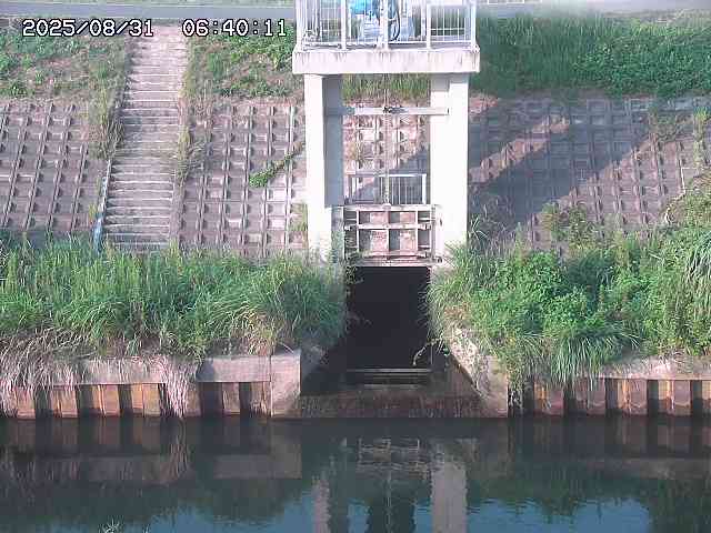 大路川２2025/08/31 09:00