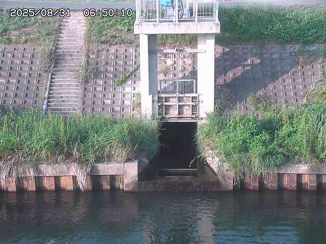 大路川２2025/08/31 09:00