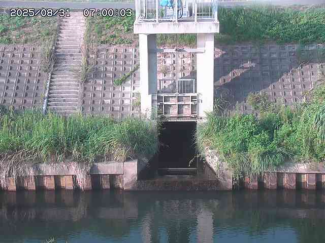 大路川２2025/08/31 09:00