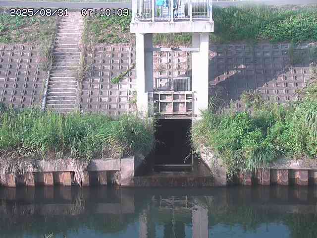 大路川２2025/08/31 09:00