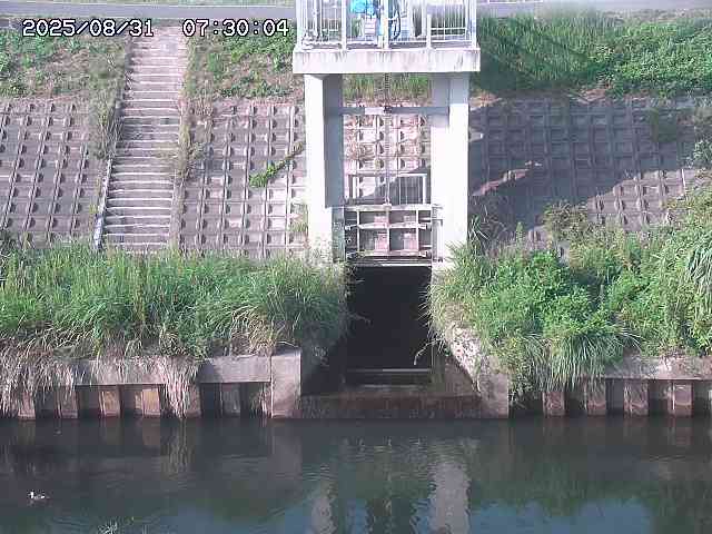 大路川２2025/08/31 09:00