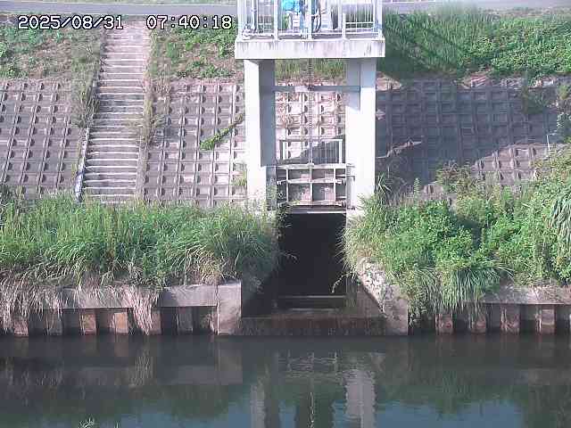 大路川２2025/08/31 09:00