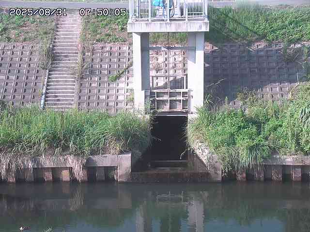 大路川２2025/08/31 09:00