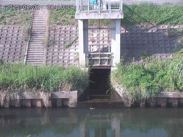 大路川２2025/08/31 09:00