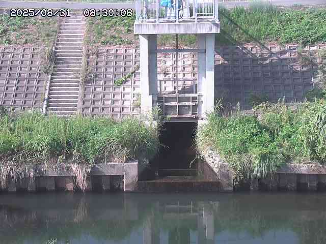 大路川２2025/08/31 09:00