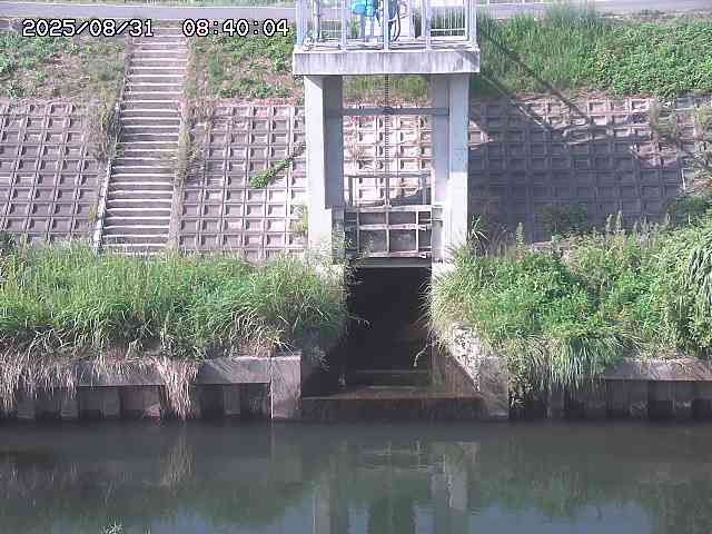 大路川２2025/08/31 09:00