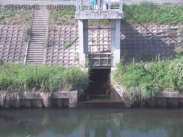 大路川２2025/08/31 09:00
