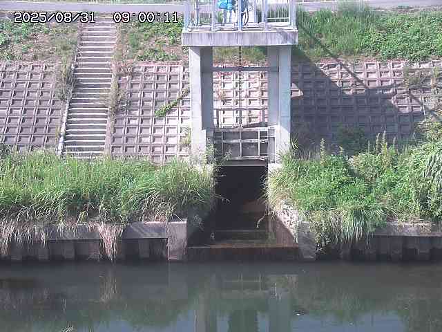 大路川２2025/08/31 09:00