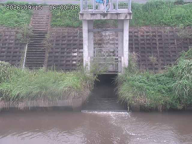 大路川２2026/09/16 16:30