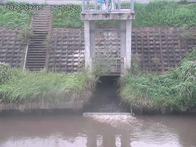 大路川２2026/09/16 16:30