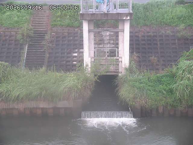 大路川２2026/09/16 16:30