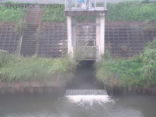 大路川２2026/09/16 16:30
