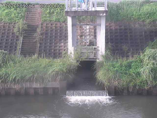 大路川２2026/09/16 16:30
