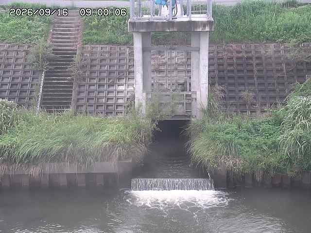 大路川２2026/09/16 16:30