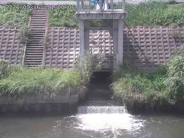 大路川２2026/09/16 16:30