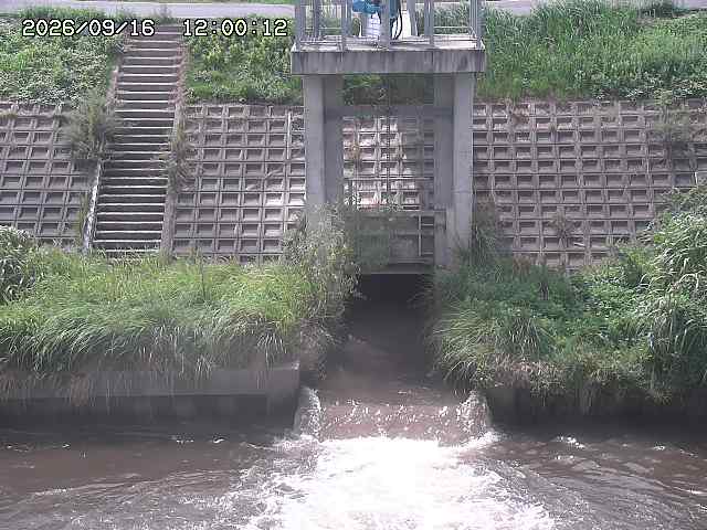 大路川２2026/09/16 16:30