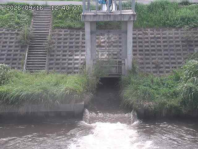 大路川２2026/09/16 16:30