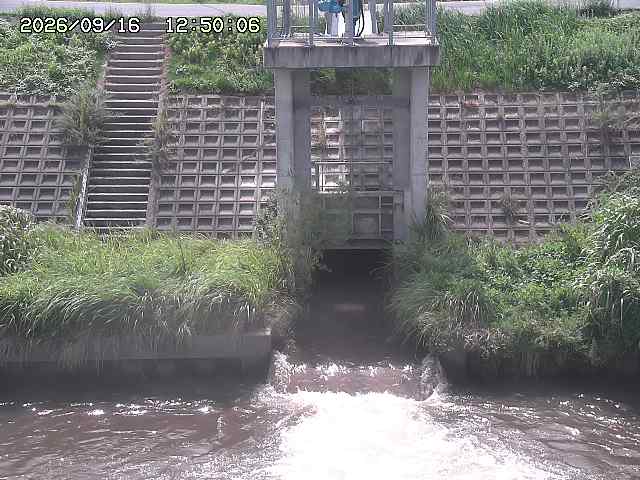 大路川２2026/09/16 16:30