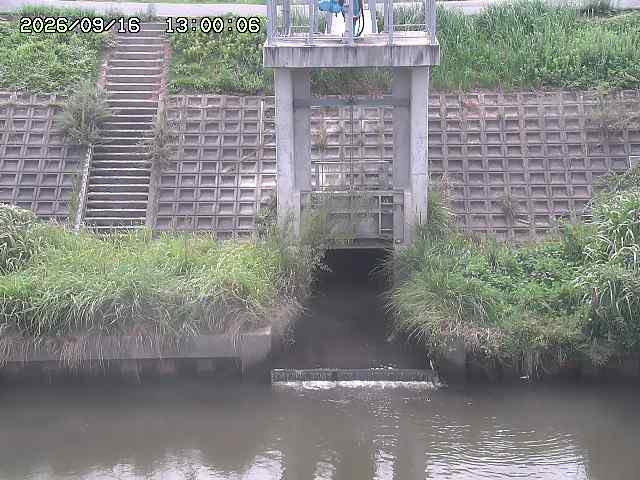 大路川２2026/09/16 16:30