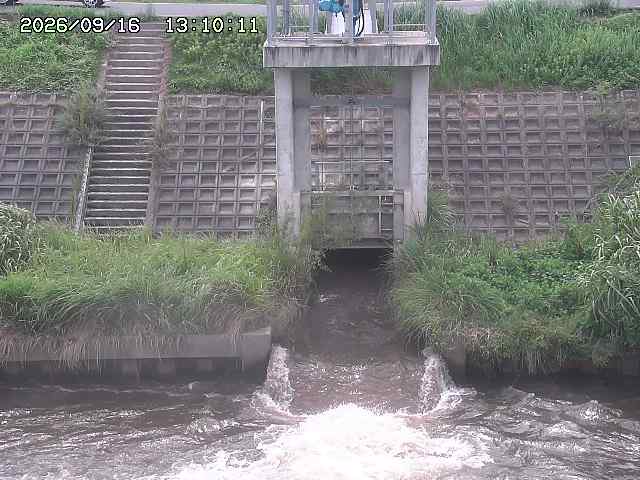 大路川２2026/09/16 16:30