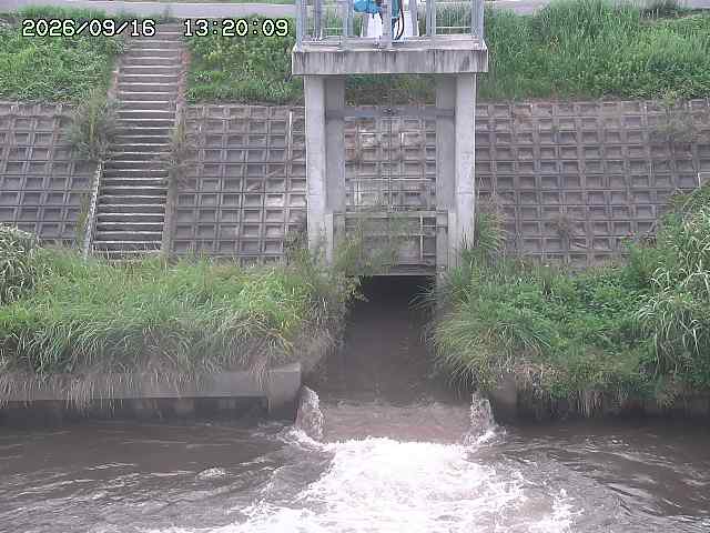 大路川２2026/09/16 16:30