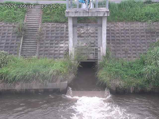 大路川２2026/09/16 16:30
