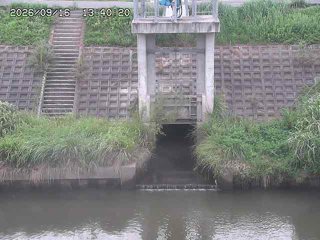 大路川２2026/09/16 16:30