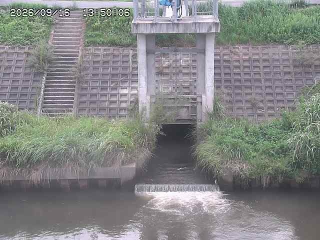 大路川２2026/09/16 16:30