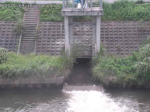 大路川２2026/09/16 16:30