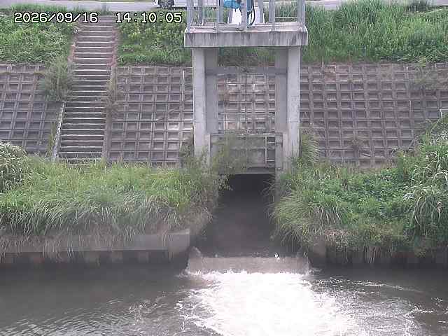 大路川２2026/09/16 16:30