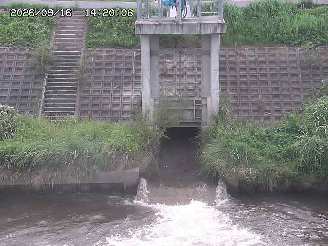 大路川２2026/09/16 16:30